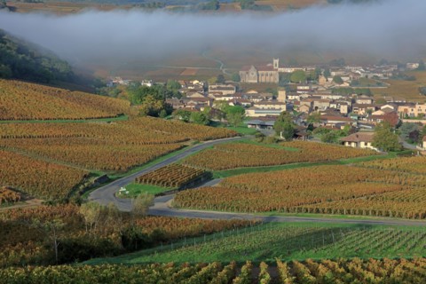 Fuissé, Saône-et-Loire