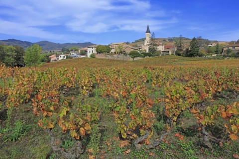 Juliénas, Rhône
