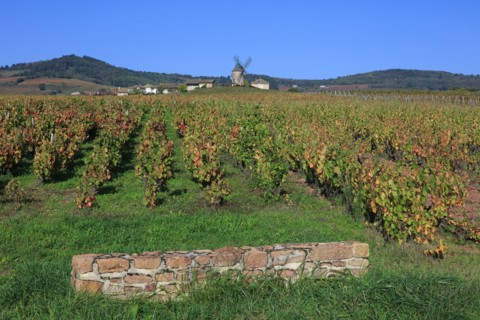 Romanèche-Thorins, Saône-et-Loire