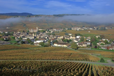 Fuissé, Saône-et-Loire
