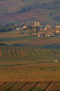 Régnié-Durette, Rhône
