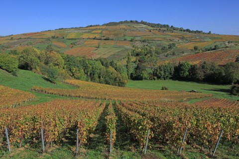Saint-Vérand, Saône-et-Loire