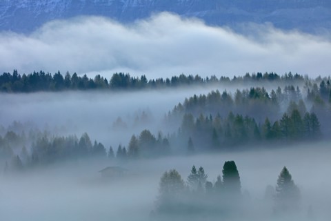 Alpe de Suisi, Dolomites, Italie
