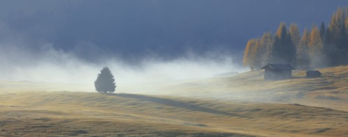 Alpe de Suisi, Dolomites, Italie