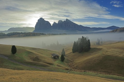 Alpe de Suisi, Dolomites, Italie
