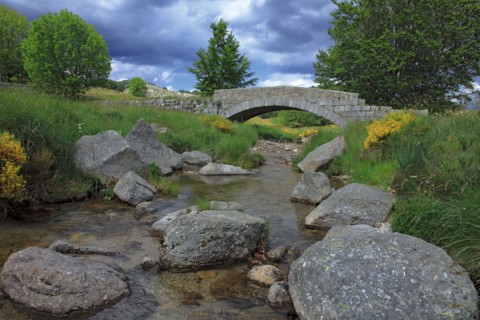Mont Lozère, Lozère
