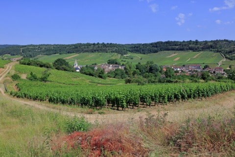 Auxey-Duresses, Côte d'Or