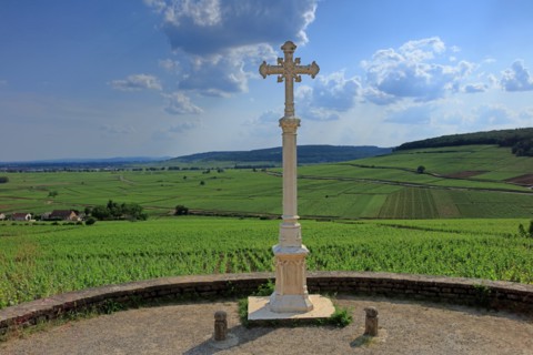 Aloxe-Corton, Côte d'Or