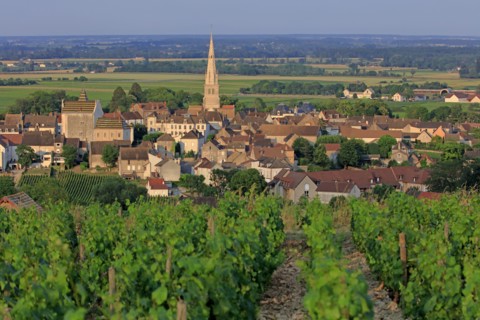 Meursault, Côte d'Or