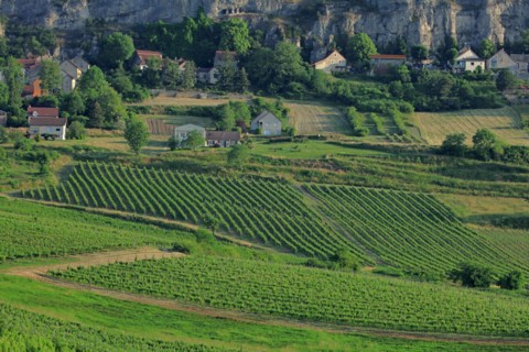Orches, Baubigny, Côte d'Or