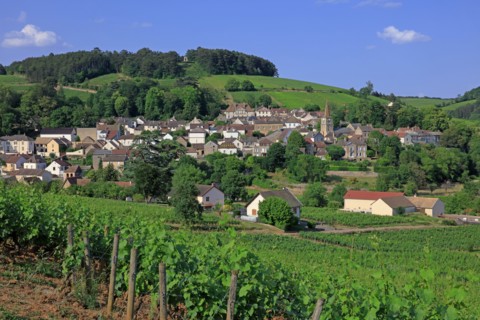 Pernand-Vergelesse, Côte d'Or