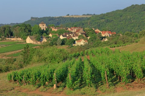Saint-Romain, Côte d'Or