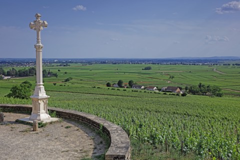 Aloxe-Corton, Côte d'Or