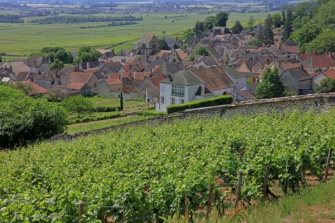 Volnay, Côte d'Or