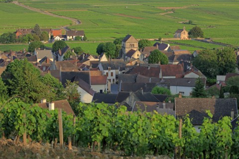 Volnay, Côte d'Or
