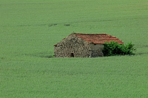 Maison au milieu d'un champ, Côte d'Or