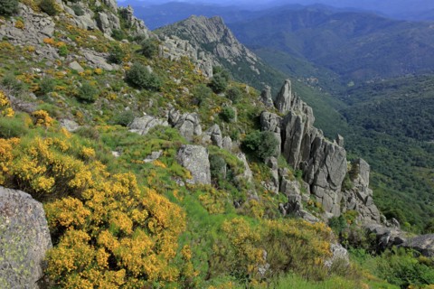 Landscape in Lozère