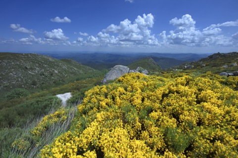 Landscape in Lozère