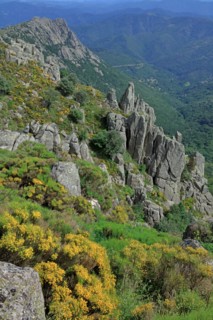 Landscape in Lozère