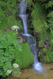 Cascade en Lozère