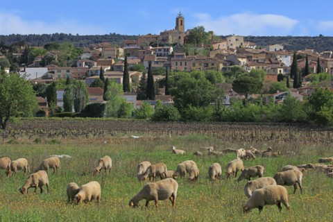 Pourrières, Var