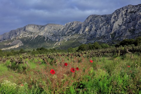 Puyloubier, Bouches-du-Rhône