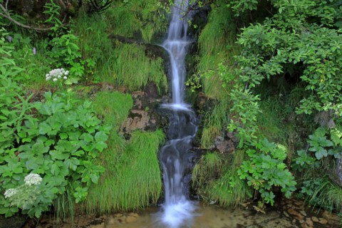 Cascade en Lozère