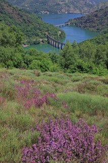 Villefort, Lozère