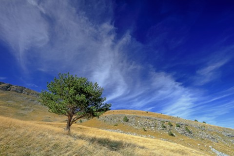 Paysage des Hautes-Alpes