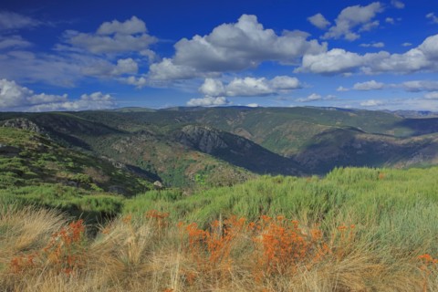 Loubaresse, Ardèche