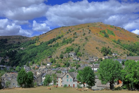 Le Pont-de-Montvert, Lozère