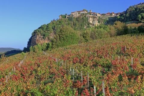 Château-Chalon, Jura