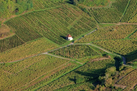 Château-Chalon, Jura