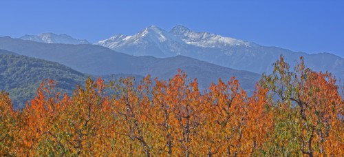 Massif du Canigou, Pyrénées-Orientales