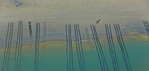 Côte d'Opale, Somme