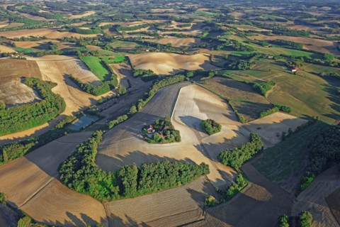 Aerial view of Gascony, Landes, France