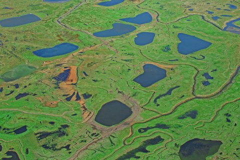 Baie de la Somme