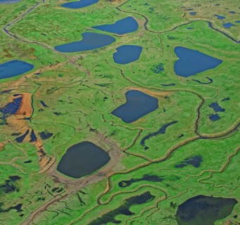 Baie de la Somme