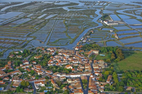 Mornac-sur-Seudre, Charente-Maritime, France