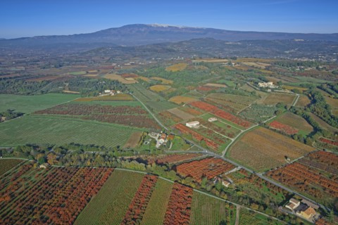 Paysage du Vaucluse en automne
