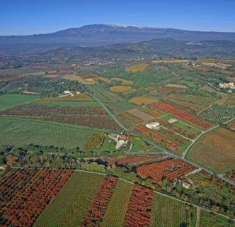 Paysage du Vaucluse en automne