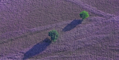 Plateau, Alpes-de-Haute-Provence