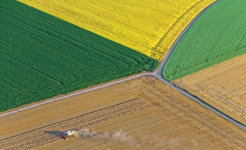 Harvest scene, Eure, France