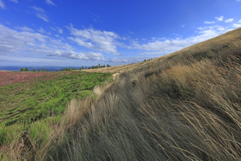 Paysage de l'Ardèche