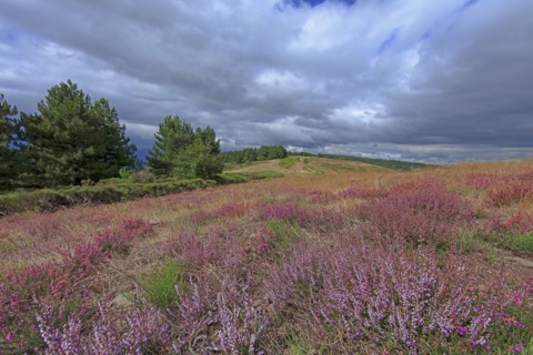 Paysage de l'Ardèche