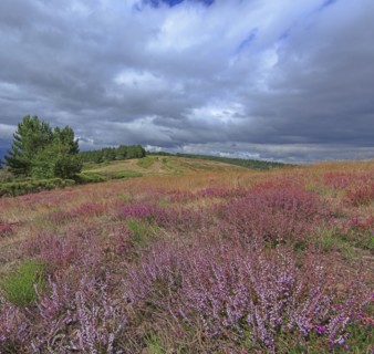 Paysage de l'Ardèche