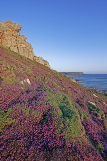 Cap de la Hague, Manche