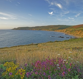 Baie d'Ecalgrain, Manche