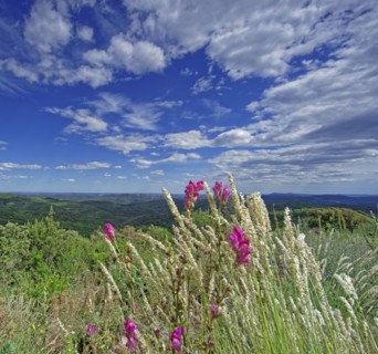 Paysage de Lozère