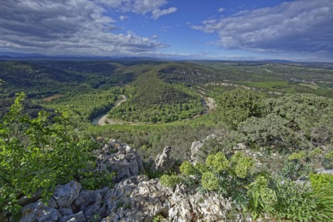 Méjannes-le-Claps, Gard